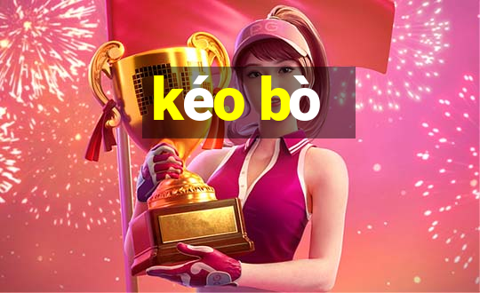 kéo bò