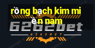 rồng bạch kim miền nam