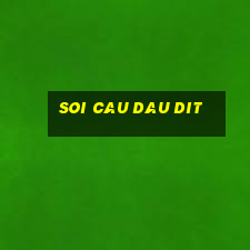 soi cau dau dit