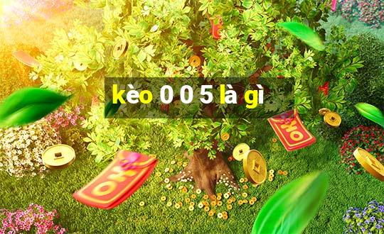 kèo 0 0 5 là gì