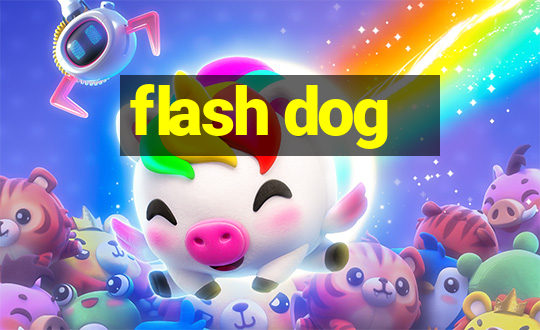 flash dog