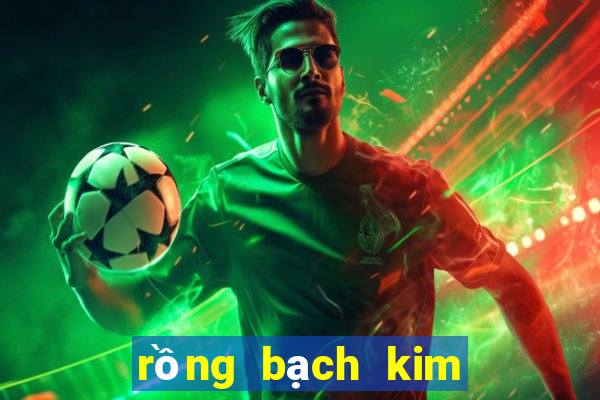 rồng bạch kim 247 net