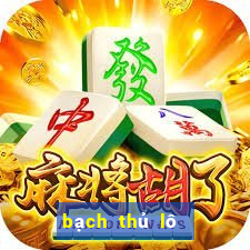 bạch thủ lô chuẩn 100|Android V10.9896