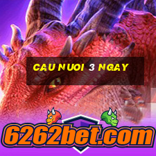 cau nuoi 3 ngay