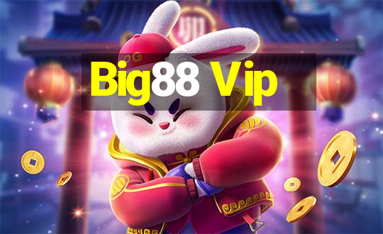 Big88 Vip