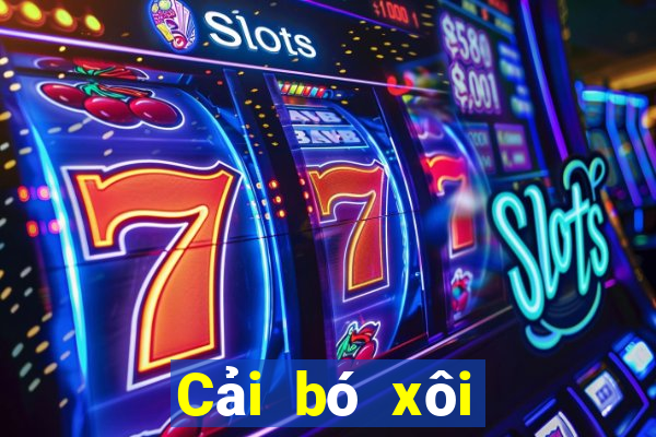 Cải bó xôi Fun88 tải về