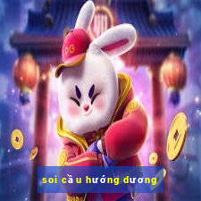 soi cầu hướng dương