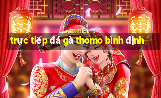 trực tiếp đá gà thomo bình định