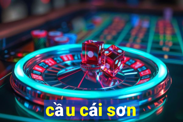 cầu cái sơn