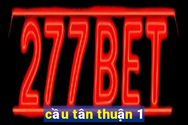 cầu tân thuận 1