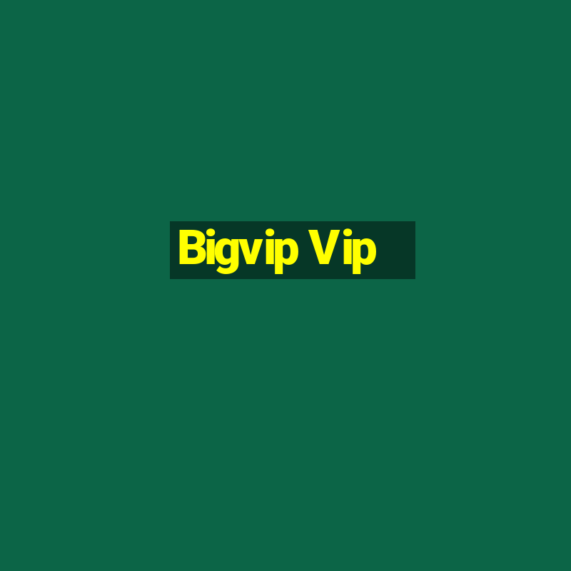 Bigvip Vip