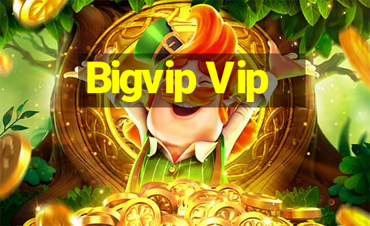 Bigvip Vip