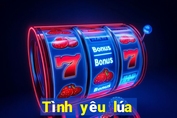 Tình yêu lúa gạo màu