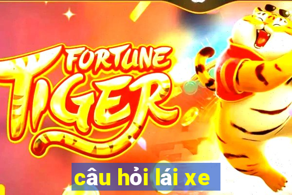 câu hỏi lái xe