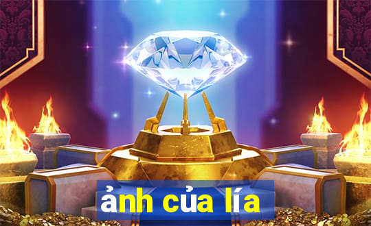 ảnh của lía