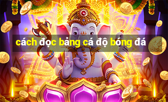 cách đọc bảng cá độ bóng đá