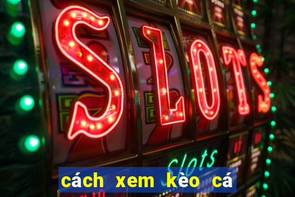 cách xem kèo cá cược bóng đá