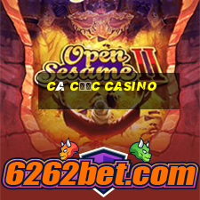 cá cược casino