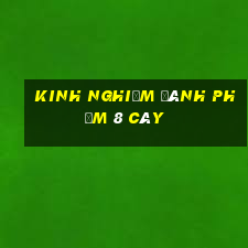 kinh nghiệm đánh phỏm 8 cây