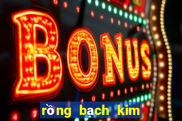 rồng bạch kim xsmb hôm nay