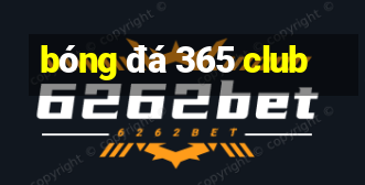 bóng đá 365 club