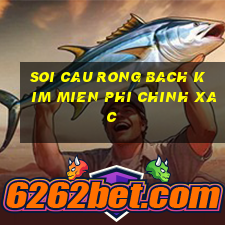 soi cau rong bach kim mien phi chinh xac