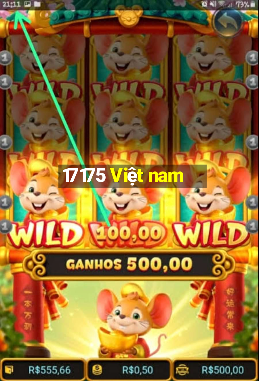 17175 Việt nam