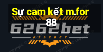 Sự cam kết m.for88