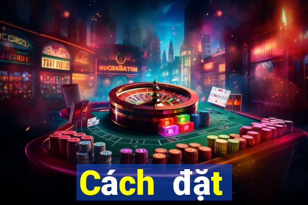 Cách đặt cược XSQT ngày 5