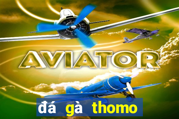 đá gà thomo hôm nay mới nhất