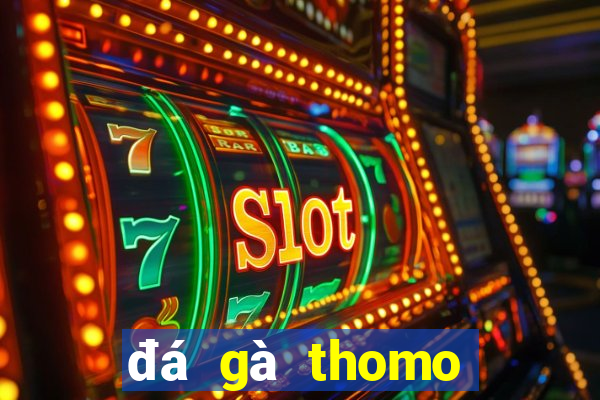 đá gà thomo hôm nay mới nhất