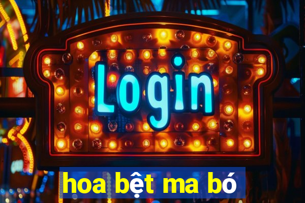 hoa bệt ma bó