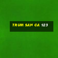 trum san ca 123