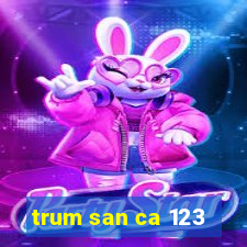 trum san ca 123