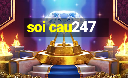 soi cau247