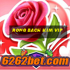 rong bach kim vip