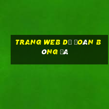 trang web dự đoán bóng đá