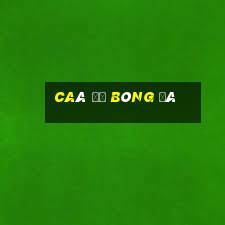 caá độ bóng đá