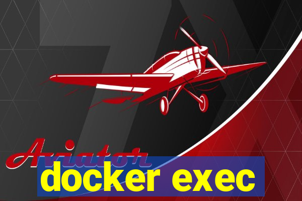 docker exec