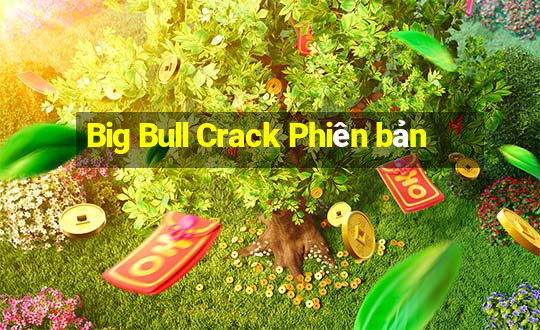 Big Bull Crack Phiên bản