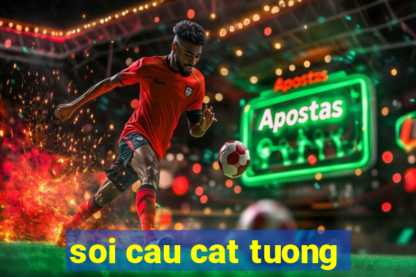 soi cau cat tuong