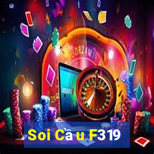 Soi Cầu F319