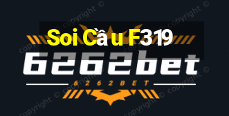 Soi Cầu F319