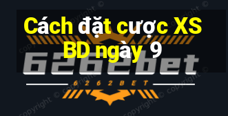 Cách đặt cược XSBD ngày 9