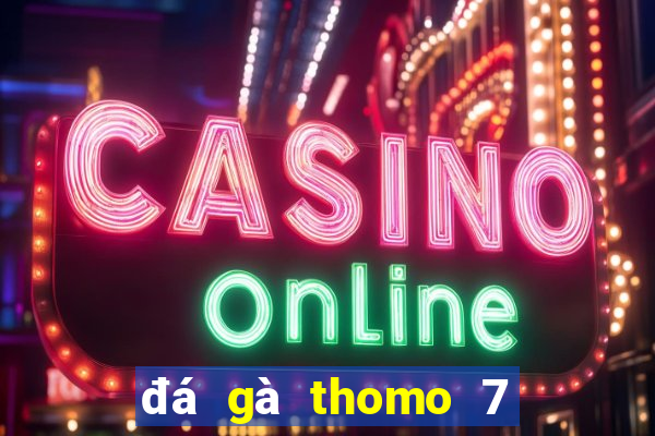 đá gà thomo 7 8 2019