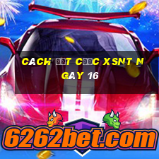 Cách đặt cược XSNT ngày 16