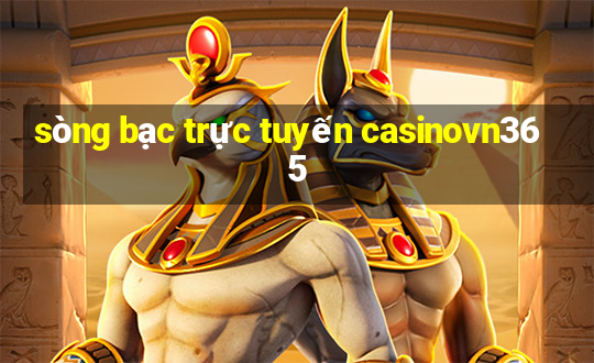 sòng bạc trực tuyến casinovn365