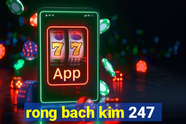 rong bach kim 247