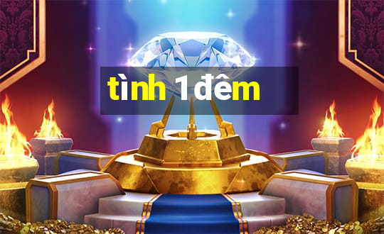 tình 1 đêm