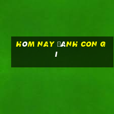 hôm nay đánh con gì